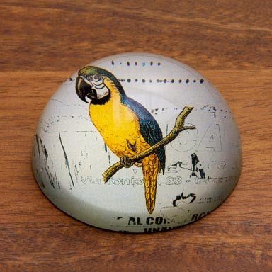 Parrot Paperweight - The Weitzman Museum Store - 31238