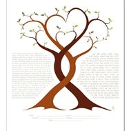 Micah Parker - The Weitzman Museum Store