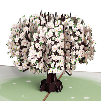 Pink Magnolia Tree Pop-Up Card