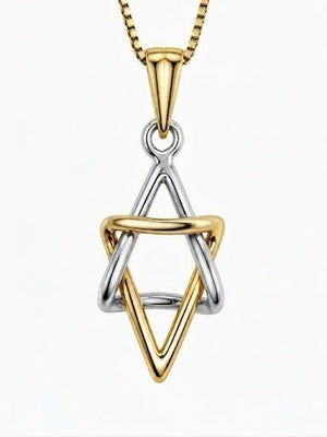 14K Dimensional Star of David Pendant on 16" Chain - The Weitzman Museum Store - K514