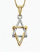 14K Dimensional Star of David Pendant on 16" Chain - The Weitzman Museum Store - K514