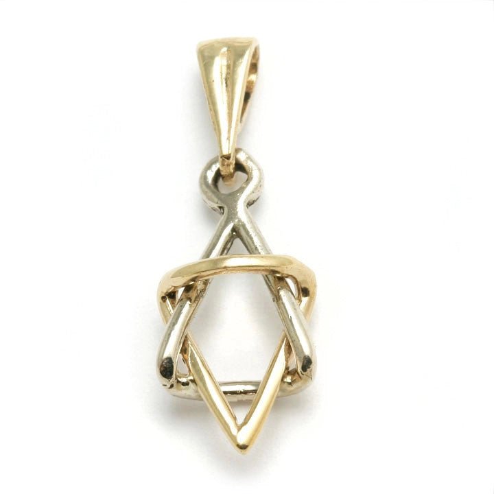 14K Dimensional Star of David Pendant on 16" Chain - The Weitzman Museum Store - K514