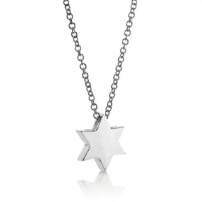 14K White Gold Star of David Pendant - The Weitzman Museum Store - fs100white