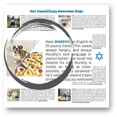 Pawsitively Jewish 2027 Calendar