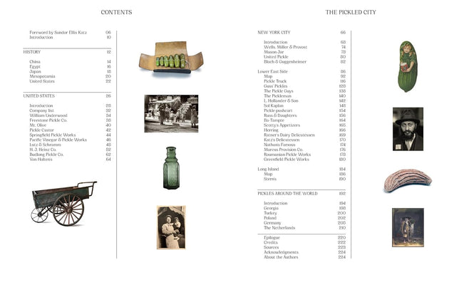 The Pickled City: The Story of New York Pickles by Paul can Ravestein and Monique Mulder