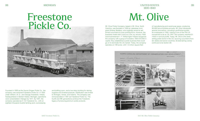 The Pickled City: The Story of New York Pickles by Paul can Ravestein and Monique Mulder