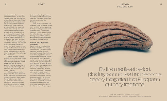 The Pickled City: The Story of New York Pickles by Paul can Ravestein and Monique Mulder