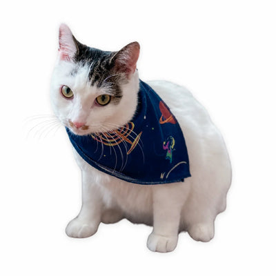 Hanukkah Space Cadet Pet Bandanas