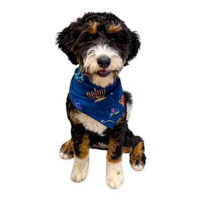 Hanukkah Space Cadet Pet Bandanas