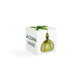 Acorn Vase - The Weitzman Museum Store - 023G