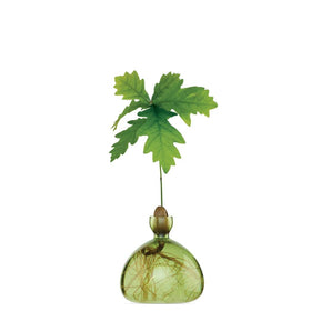 Acorn Vase - The Weitzman Museum Store - 023G