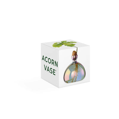 Acorn Vase - The Weitzman Museum Store - 031