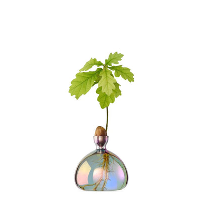 Acorn Vase - The Weitzman Museum Store - 031