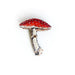 Aminita Mushroom Brooch - The Weitzman Museum Store - TL - B - 530