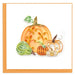 Assorted Pumpkins - The Weitzman Museum Store - 7 - 847384018376