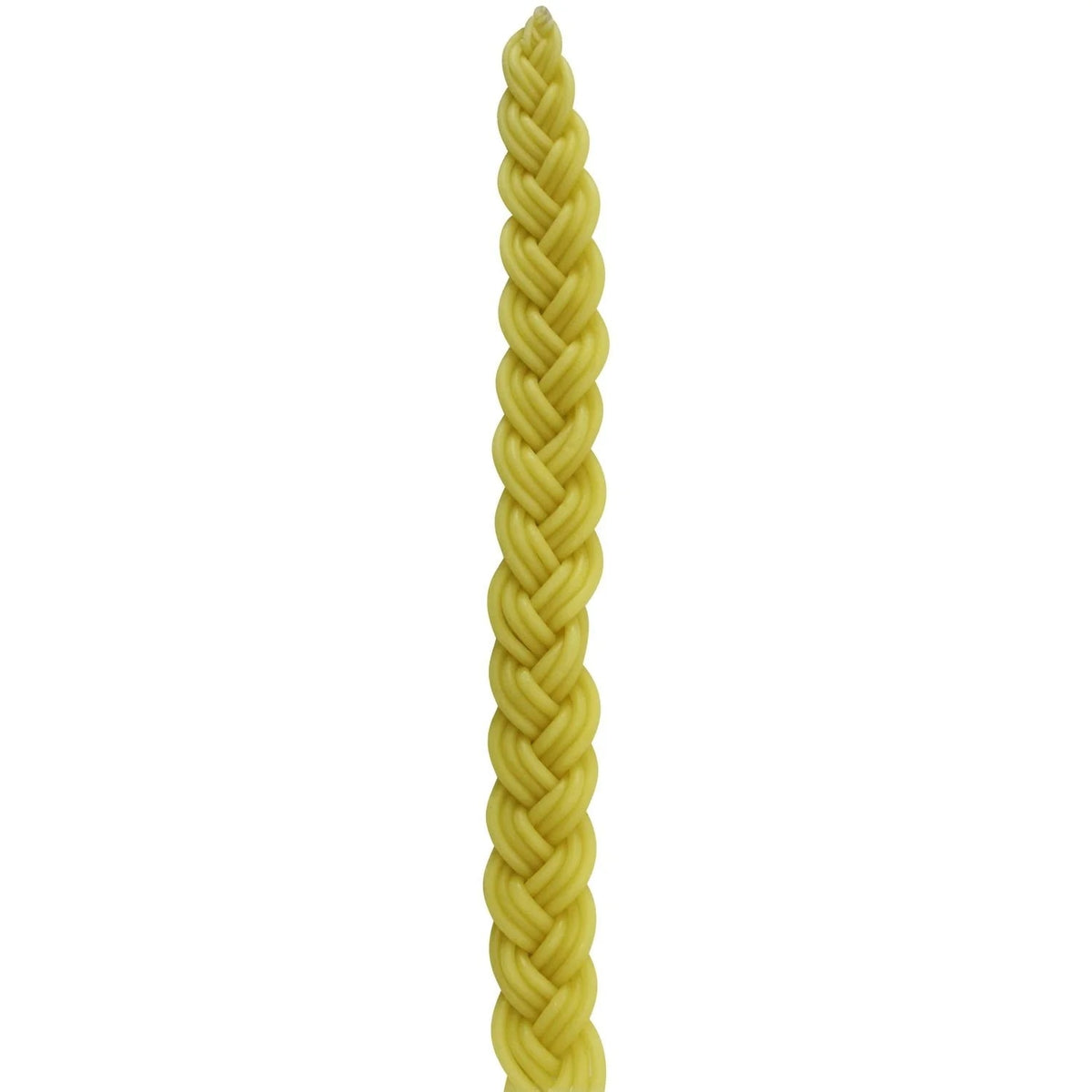 Beeswax Havdalah Candle - The Weitzman Museum Store - HC500-NT