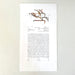 Beloved Ketubah by Stephanie Caplan - The Weitzman Museum Store - 0 - 05