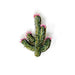 Blooming Desert Cactus Brooch Pin - The Weitzman Museum Store - TL-B-997