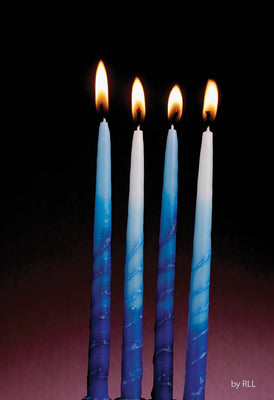 Blue and White Premium Candles - The Weitzman Museum Store - C - 31 - BWN2