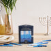 Blue and White Premium Candles - The Weitzman Museum Store - C - 31 - BWN2