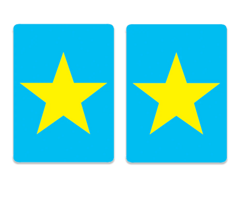 Canasta Cards in Multiple Fun Designs - The Weitzman Museum Store - 