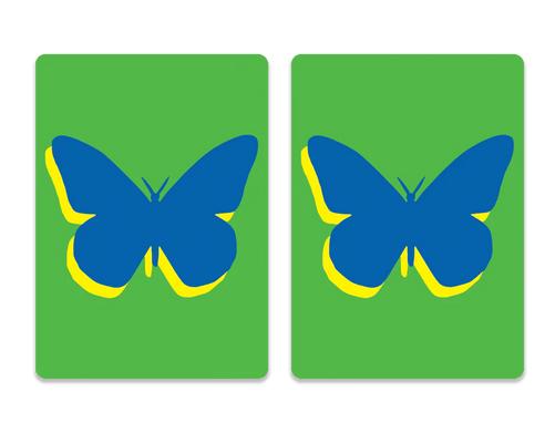 Canasta Cards in Multiple Fun Designs - The Weitzman Museum Store - 