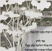 Canopy Ketubah by Daniel Azoulay - The Weitzman Museum Store - 1