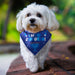 "Chewdaica"™ Chanukah Dog Bandana - The Weitzman Museum Store - tyn-dog-8