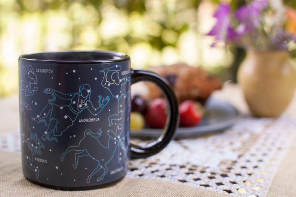 Constellation Mug - The Weitzman Museum Store - 2762