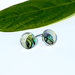 Crescent Moon Mini Studs - Sterling Silver & Mother of Pearl - The Weitzman Museum Store - SAN429EA
