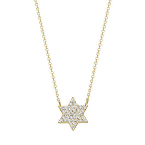 Dainty Star of David Necklace 14K Gold - The Weitzman Museum Store - FS38Y