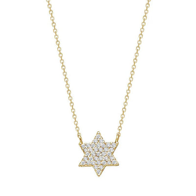 Dainty Star of David Necklace 14K Gold - The Weitzman Museum Store - FS38Y