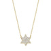 Dainty Star of David Necklace 14K Gold - The Weitzman Museum Store - FS38Y