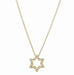 Diamond Pave Star Necklace in 14K Gold - The Weitzman Museum Store - FS607