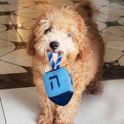 Dreidel Dog Toy - The Weitzman Museum Store - tyn-dog-3-n