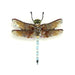 Emperor Dragonfly Brooch Pin - The Weitzman Museum Store - TL - B - 454