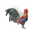 Farm Rooster Brooch Pin - The Weitzman Museum Store - 