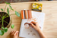 FILANA Organic Beeswax 8 Skin Tones Stick Crayons - The Weitzman Museum Store - 
