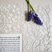 Flowery Lace Square Ketubah in Opal by Melanie Dankowicz - The Weitzman Museum Store - 