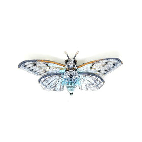 Ghost Cicada Brooch Pin - The Weitzman Museum Store - 
