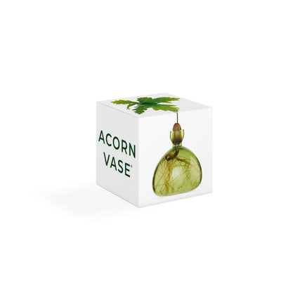 Acorn Vase
