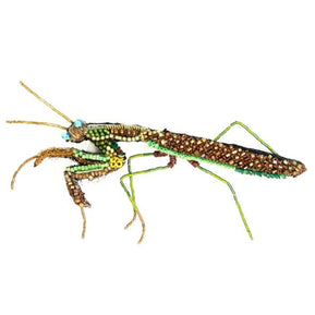 Green Mantis Brooch - The Weitzman Museum Store - TL - B - 503