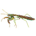 Green Mantis Brooch - The Weitzman Museum Store - TL - B - 503