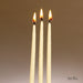 Hand Dipped Beeswax Candles - The Weitzman Museum Store - C - 21 - N