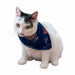 Hanukkah Space Cadet Pet Bandanas - The Weitzman Museum Store - 