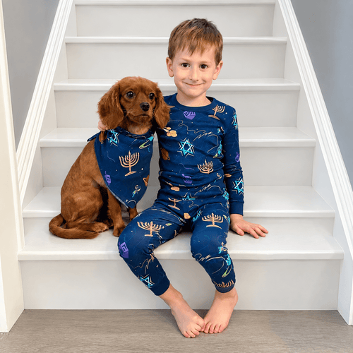 Hanukkah Space Cadet Pet Bandanas - The Weitzman Museum Store - 