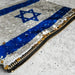 Israel Flag Sequin Cosmetic Bag - The Weitzman Museum Store - 