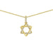 Jewish Star Necklace in 14K Gold with Diamonds - The Weitzman Museum Store - FS7y