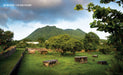 Jewish Treasures of the Caribbean - The Weitzman Museum Store - 9780764350955