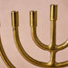 Jyoti Brass Horn Menorah - The Weitzman Museum Store - 6896190